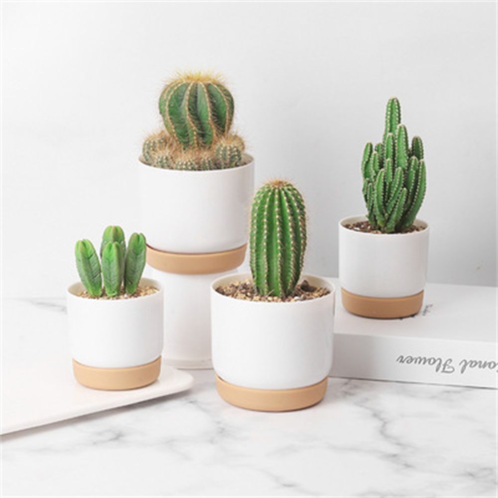 Self Watering Planter - Vaso de Flores Autoirrigável para Plantas