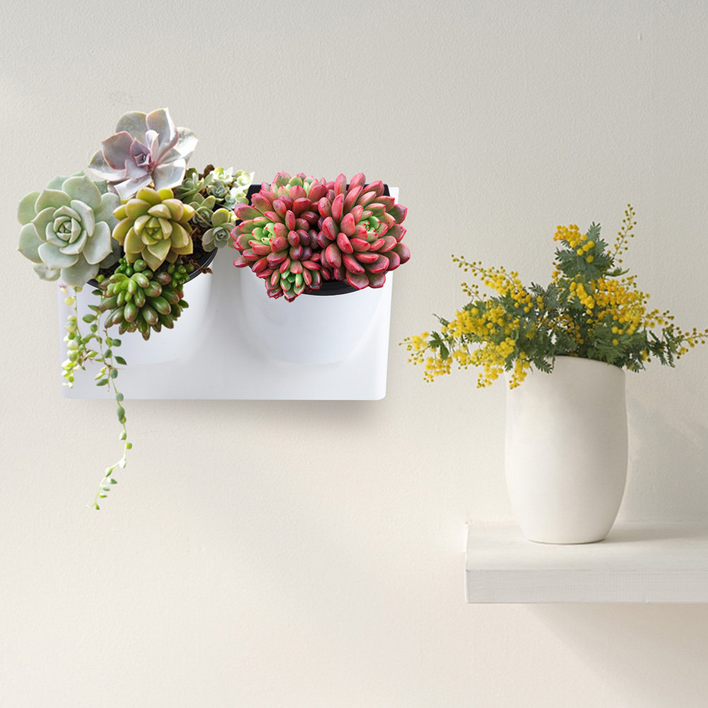 Self Watering Planter - Vaso de Flores Autoirrigável de Plástico