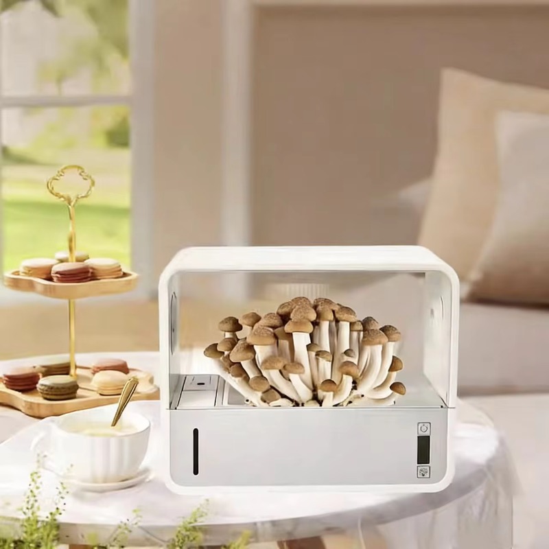Hydroponic Kit - Kit de Cultivo Hidropônico de Cogumelos