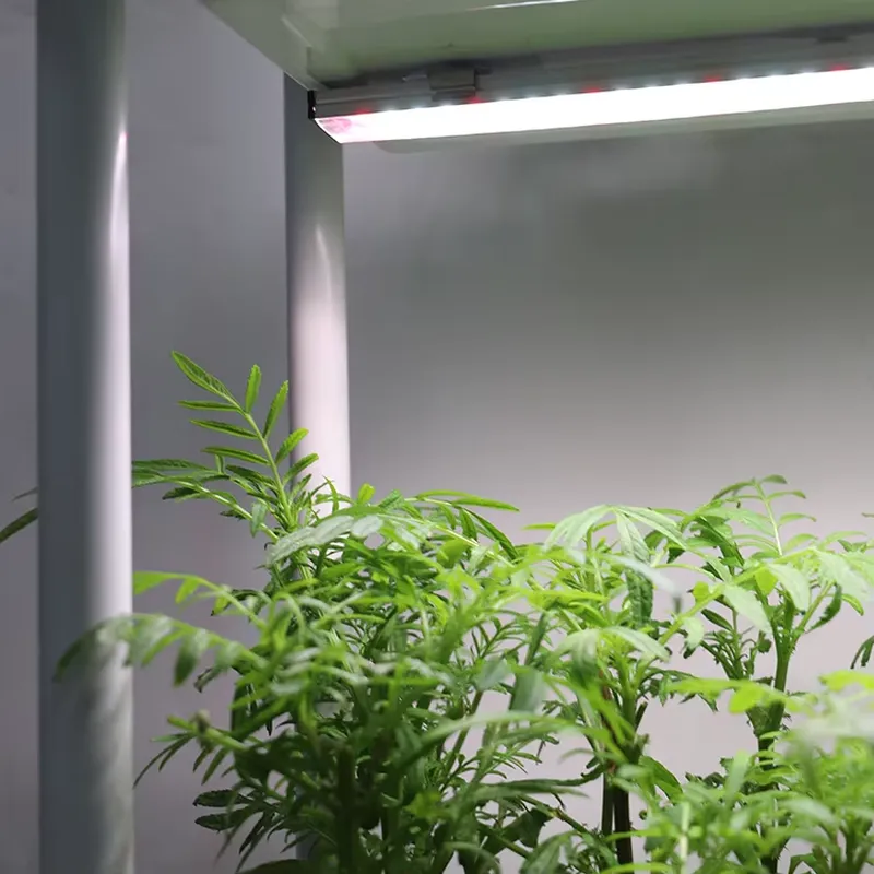 Self Watering Planter - Jardim Vertical Móvel de 3 Níveis