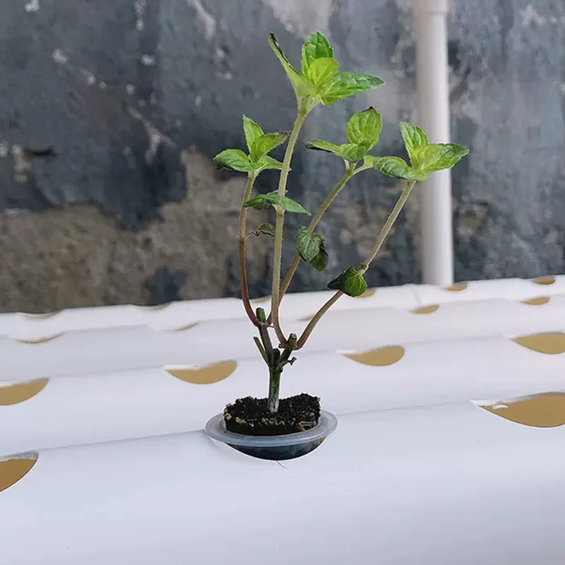 Hydroponic Kit - Kit de sistema de cultivo sem