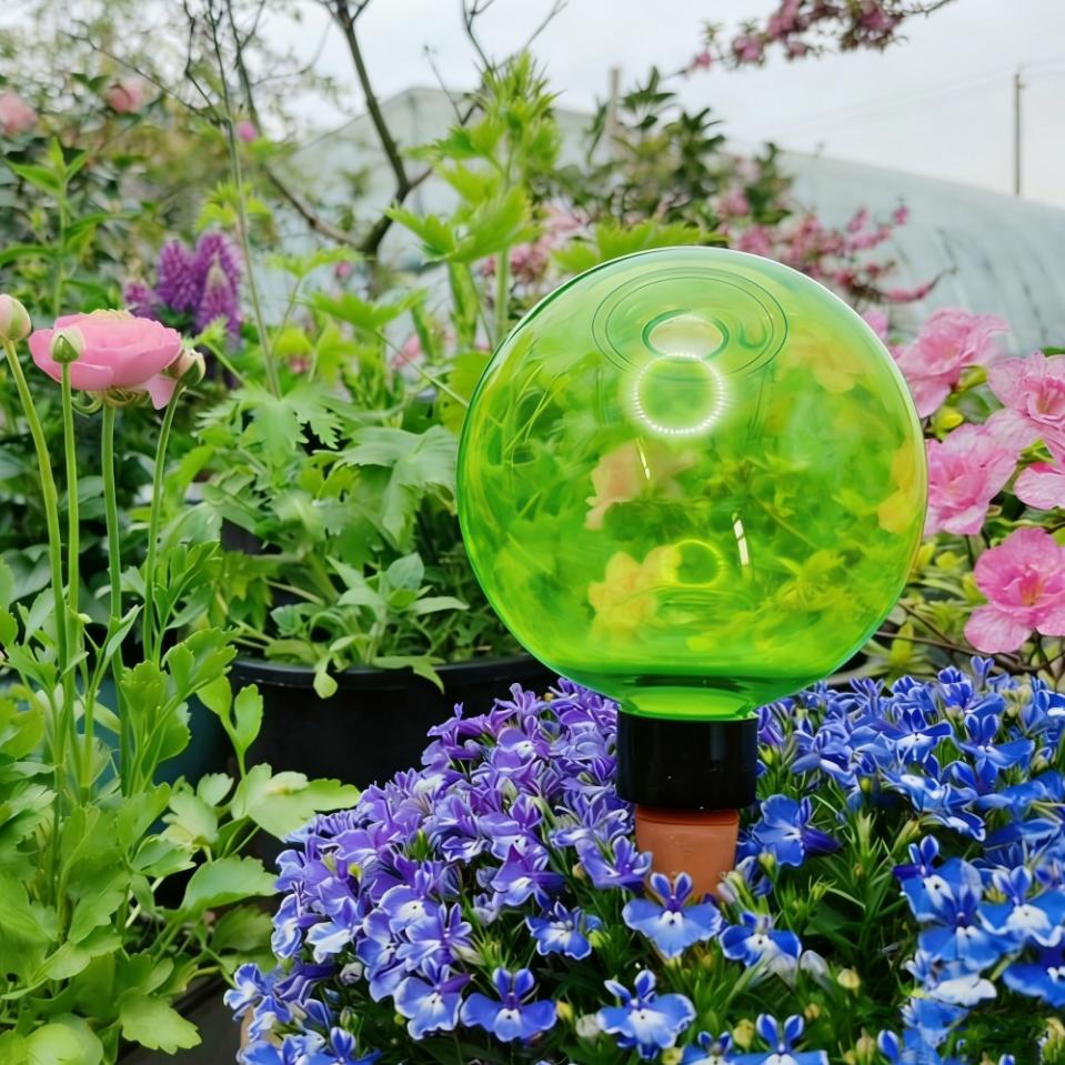 Self Watering Planter - 3 Globos Grandes de Autoirrigação para