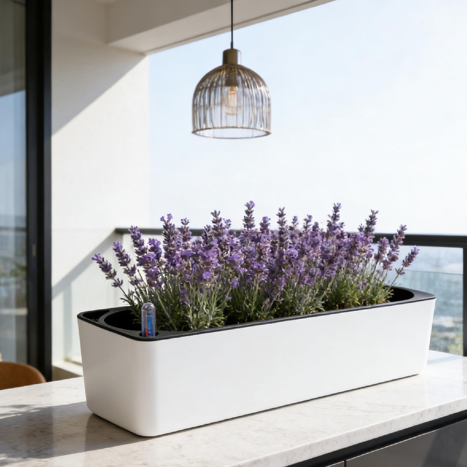 Vaso de flores com sistema de  - Self Watering Planter avaliação e preço