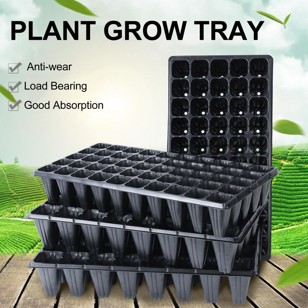 Pote de etiqueta de planta ant - Seed Starter Tray avaliação e preço