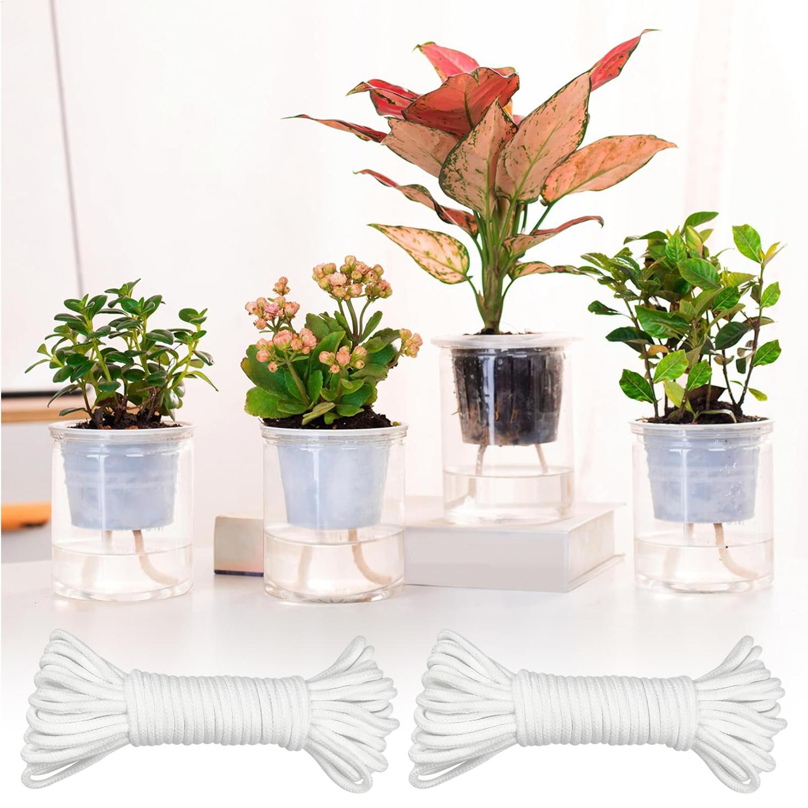 Sistema de Irrigação Automátic - Self Watering Planter avaliação e preço