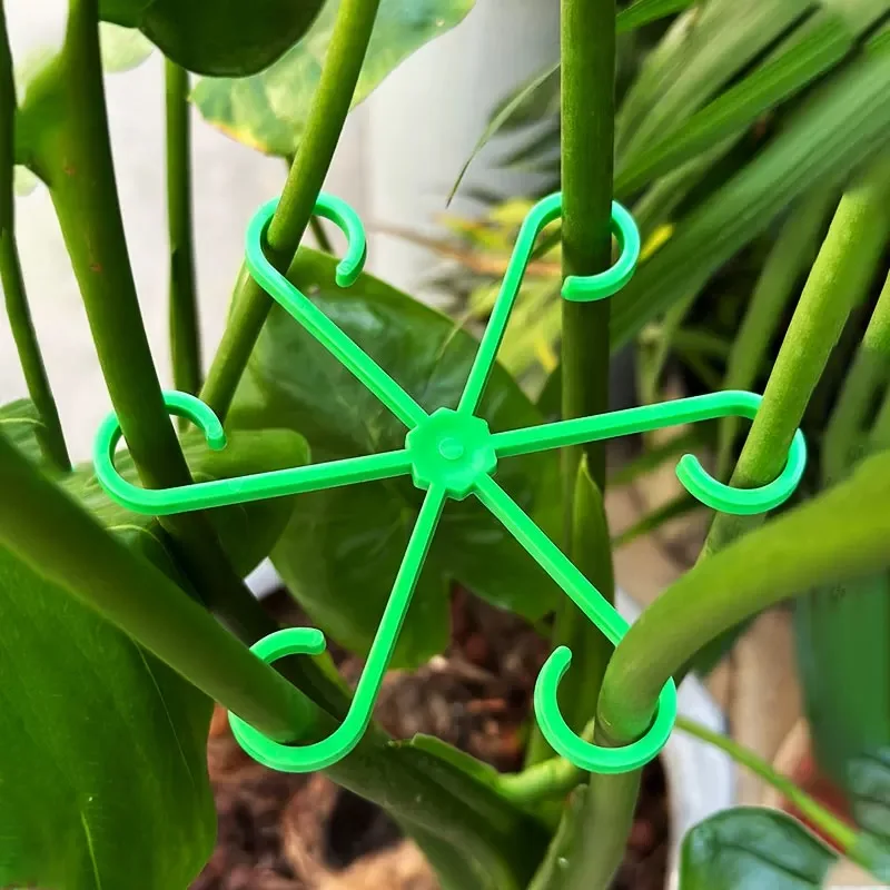 Flower Plant Stem Support Stak - Indoor Herb Garden avaliação e preço
