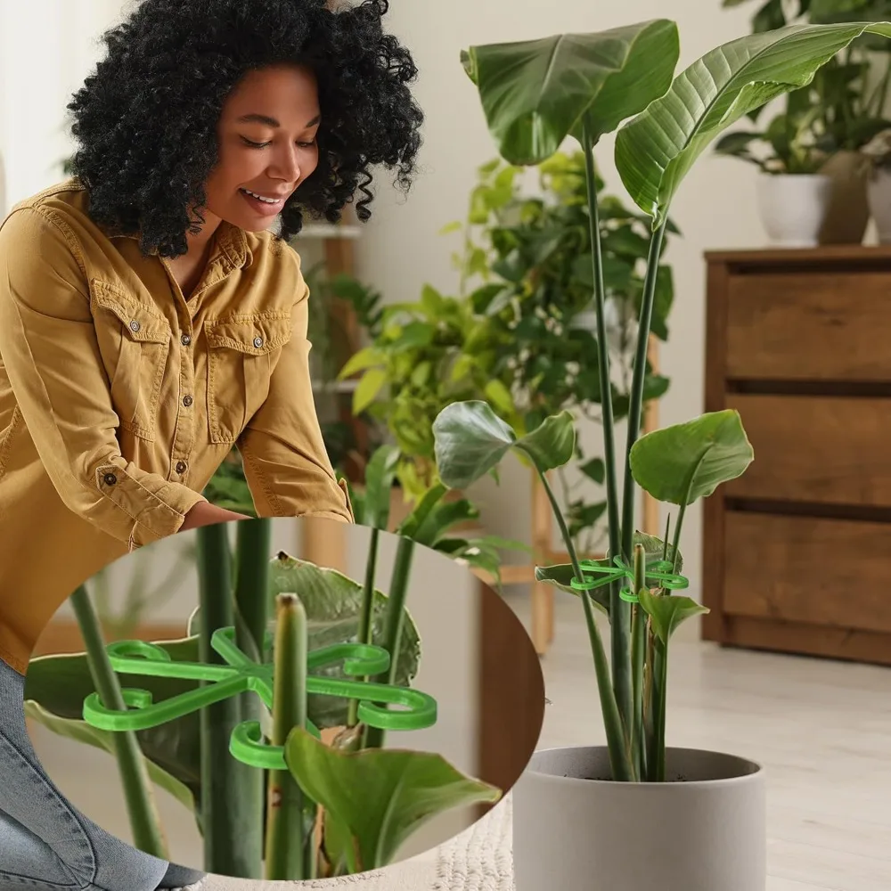 Flower Plant Stem Support Stak - Indoor Herb Garden avaliação e preço