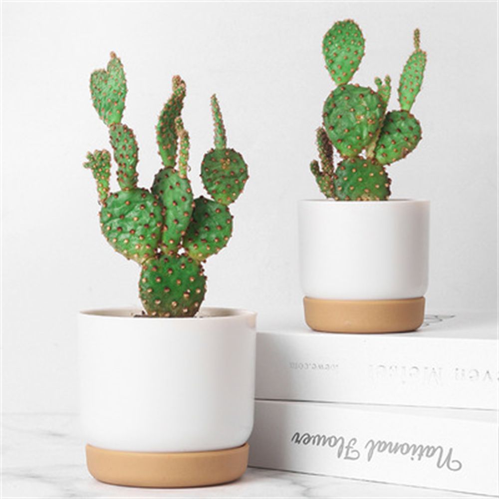 Vaso de Flores Autoirrigável p - Self Watering Planter avaliação e preço