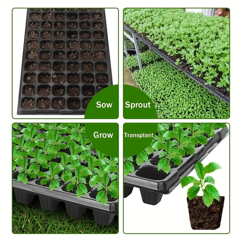 Bandeja de Viveiro 10-20, Band - Seed Starter Tray avaliação e preço