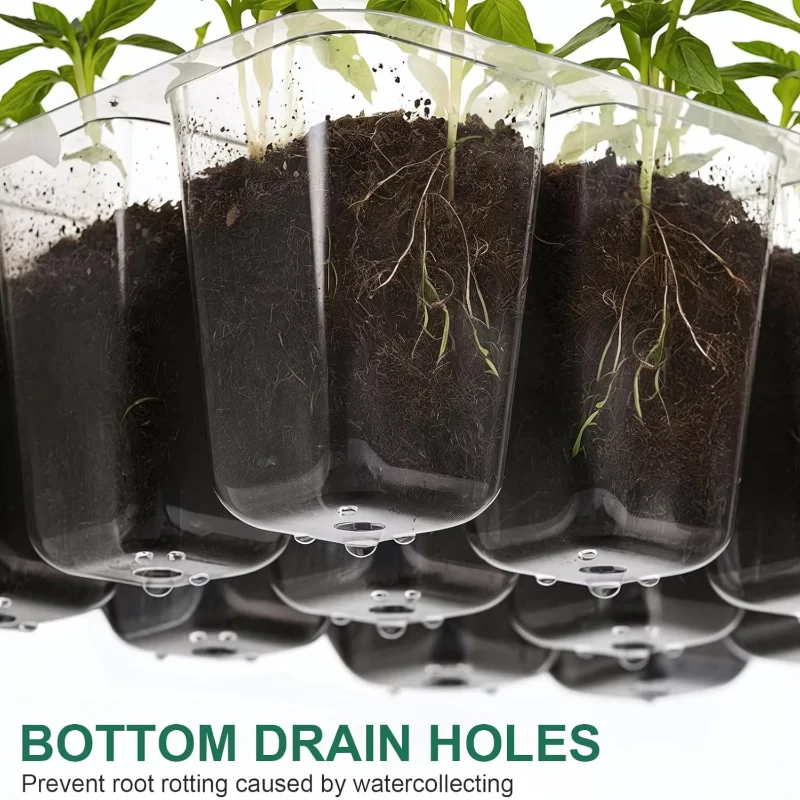 Kit de Germinação com Bandeja  - Seed Starter Tray avaliação e preço