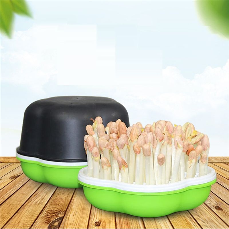 Vaso para Germinação de Rebent - Hydroponic Kit avaliação e preço