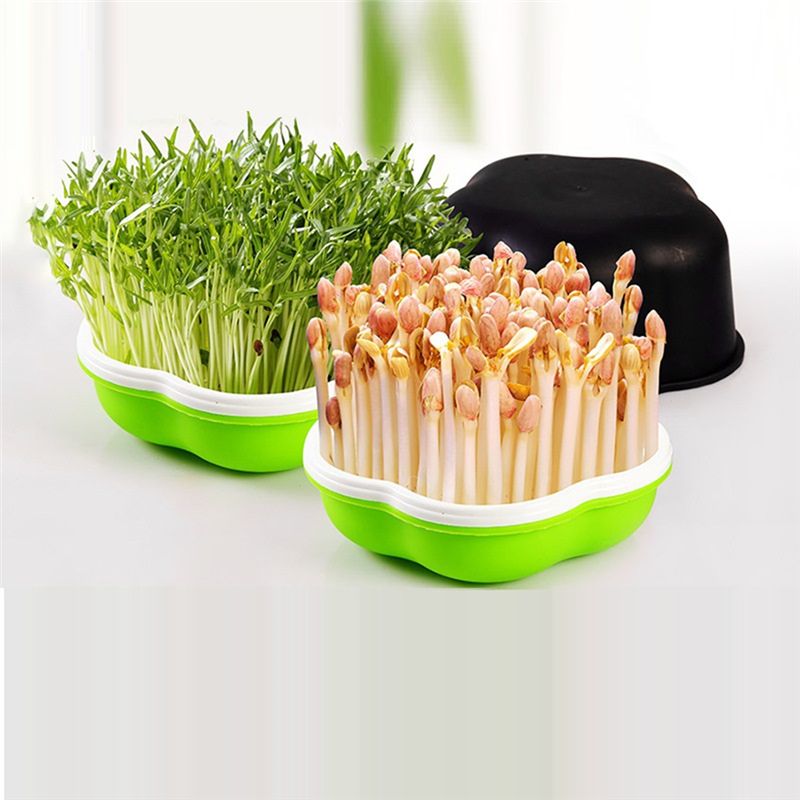 Vaso para Germinação de Rebent - Hydroponic Kit avaliação e preço