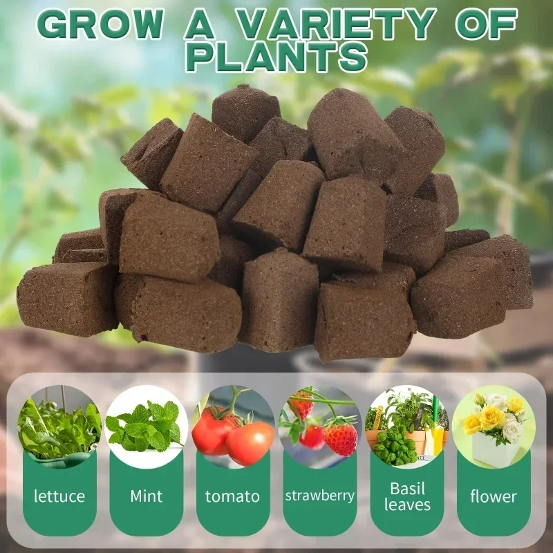 Kit de Esponjas para Germinaçã - Hydroponic Kit avaliação e preço