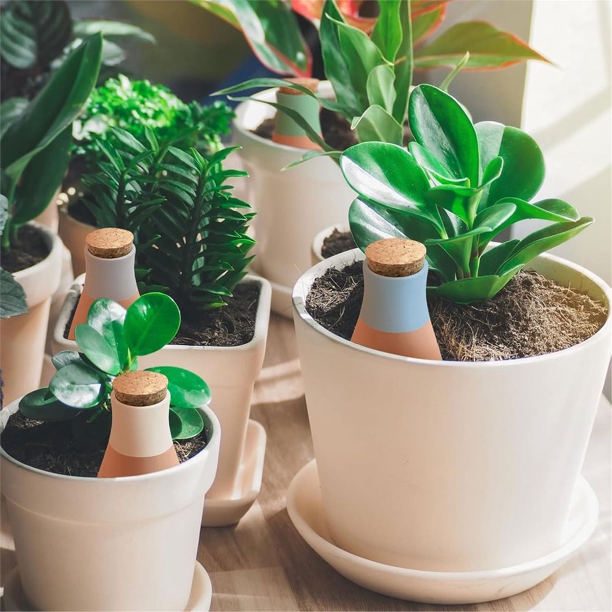 A20I 4 Peças Espigões de Rega  - Self Watering Planter avaliação e preço