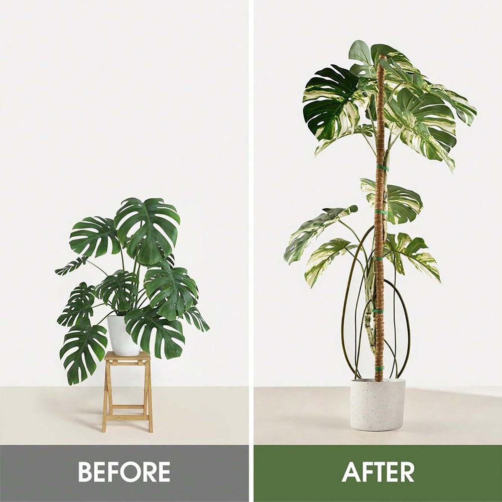 Suporte para Plantas Moss Pole - Indoor Herb Garden avaliação e preço