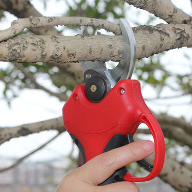 Tesoura de Poda Elétrica Sem F - Pruning Shears avaliação e preço