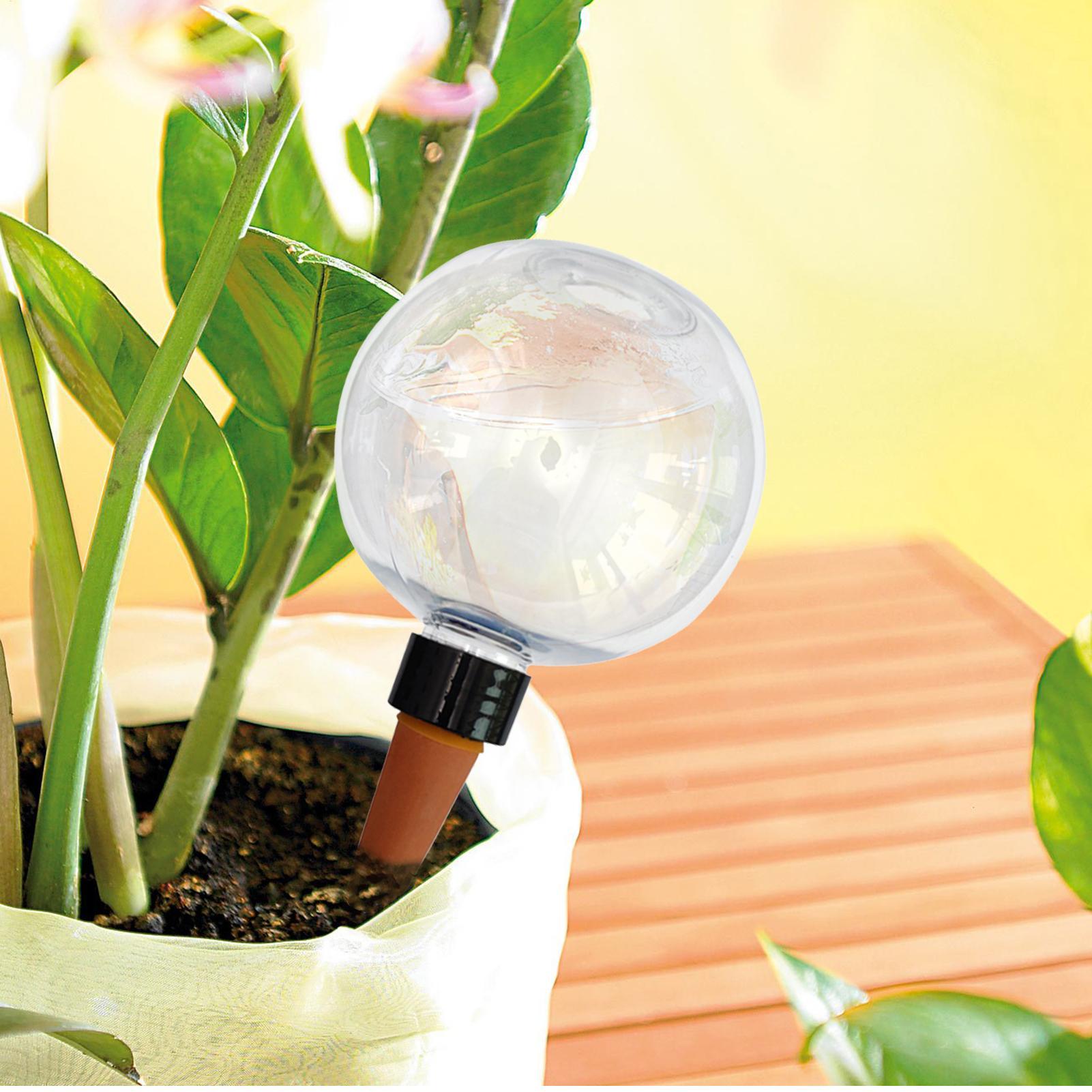 Lâmpadas automáticas de rega d - Self Watering Planter avaliação e preço