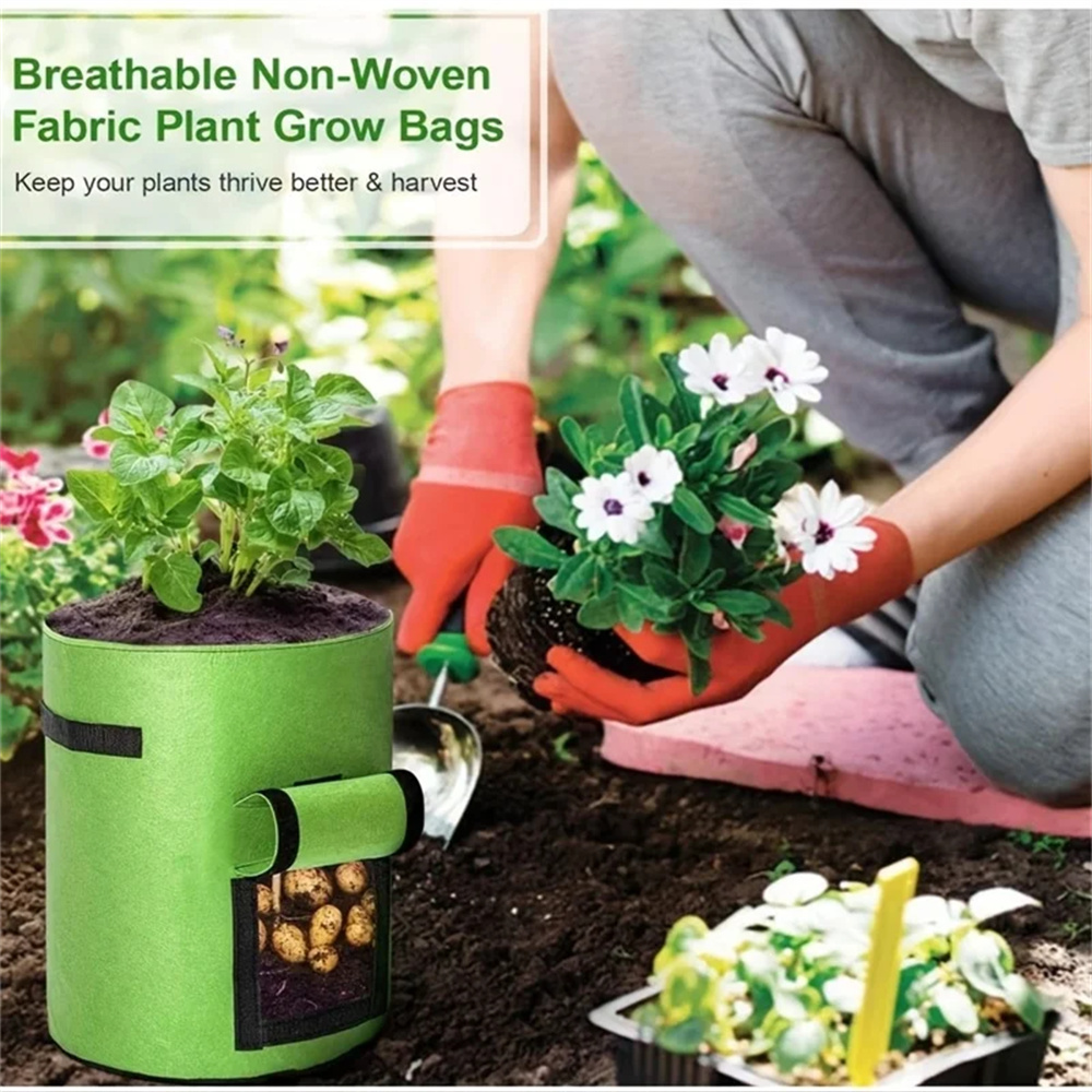 6 sacos para plantio de batata - Grow Bag avaliação e preço