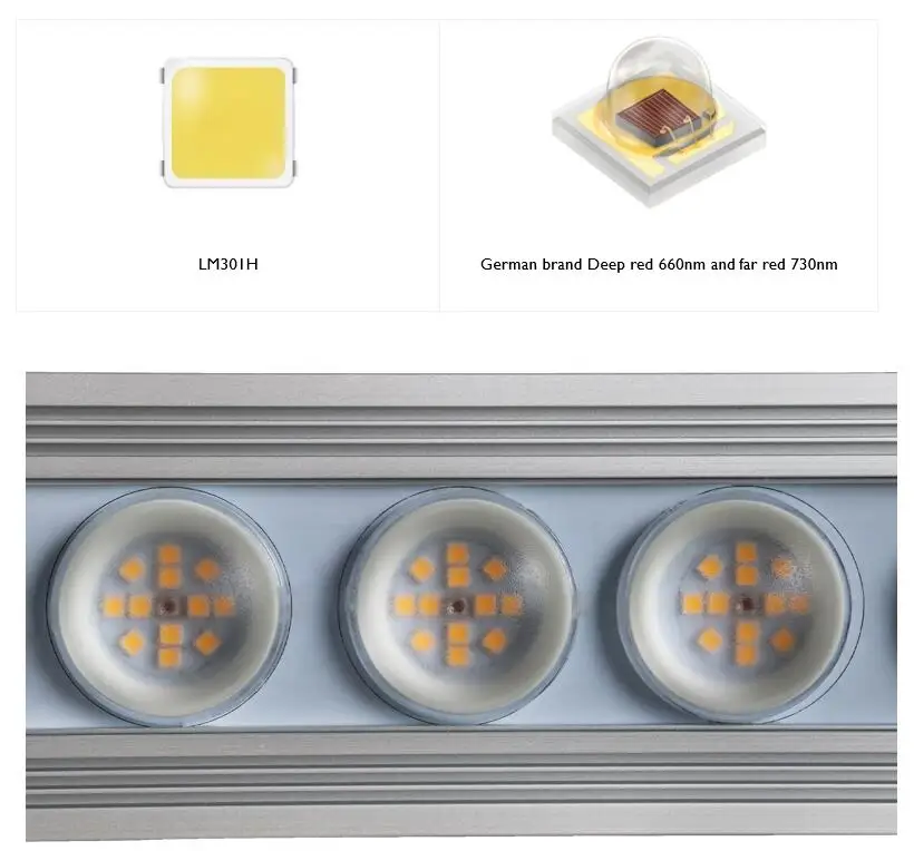 Luz de Cultivo LED de Espectro - Grow Light Led avaliação e preço