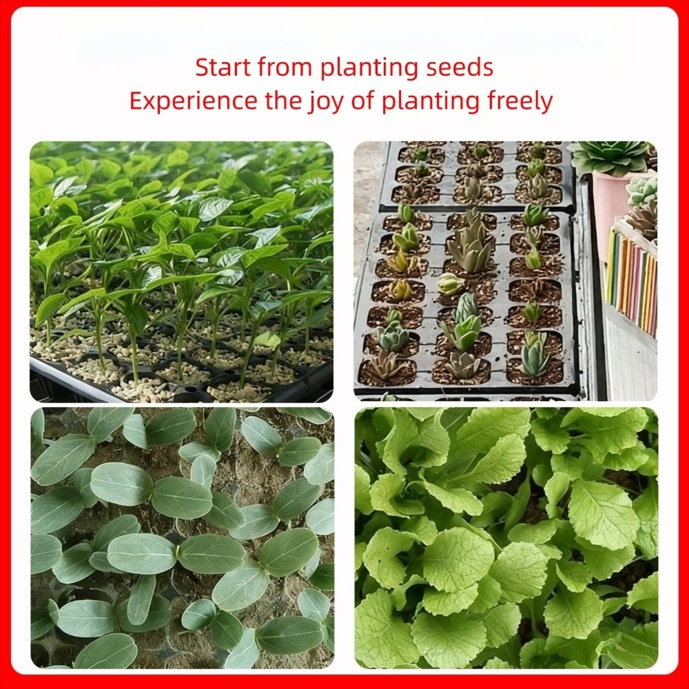 2 peças Bandeja de Germinação  - Seed Starter Tray avaliação e preço