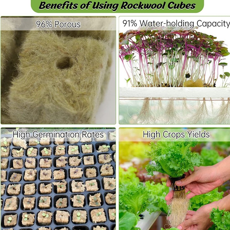 Cubos hidropônicos de lã de ro - Hydroponic Kit avaliação e preço