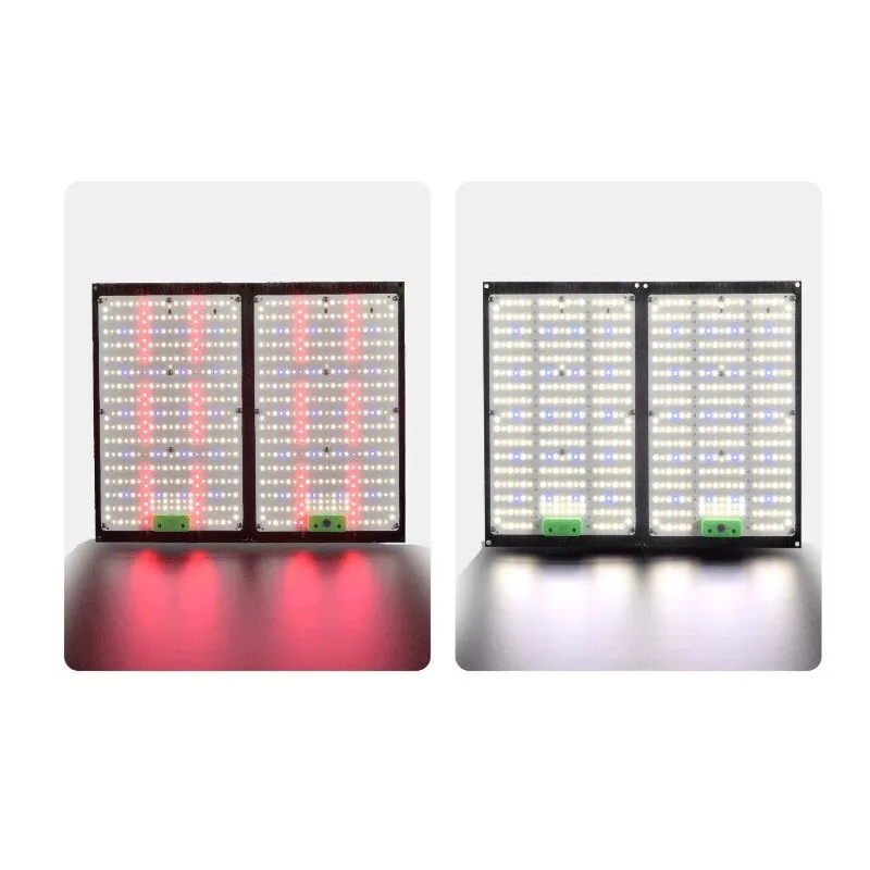 Luz de Cultivo LED Quantum-Boa - Grow Light Led avaliação e preço