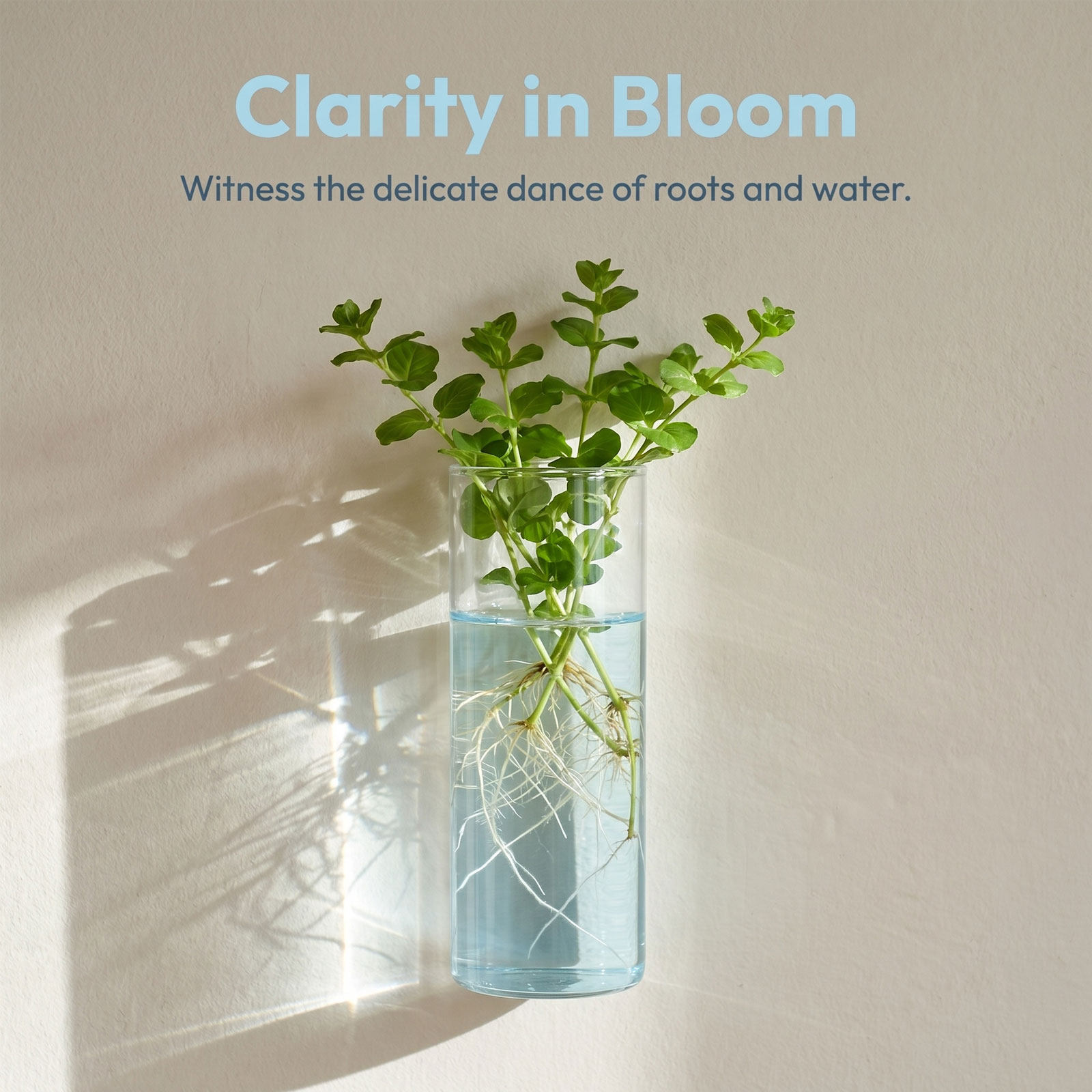 5 unidades de vasos de parede  - Vertical Planter avaliação e preço