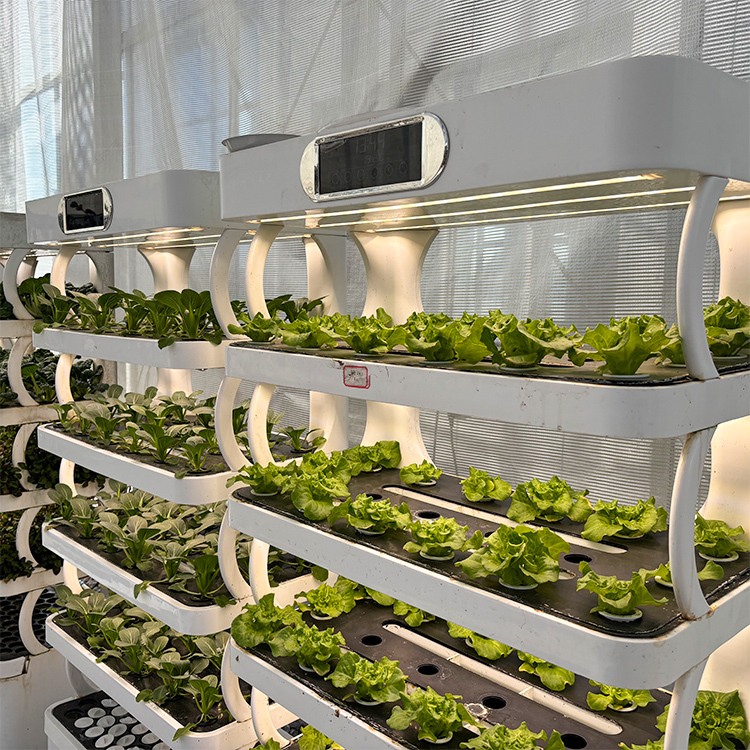 Jardineira inteligente para us - Grow Light Led avaliação e preço